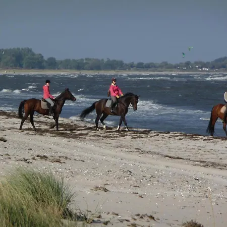 Ostseeurlaub Mit Parkblick Und Sauna Apartament Rabenholz