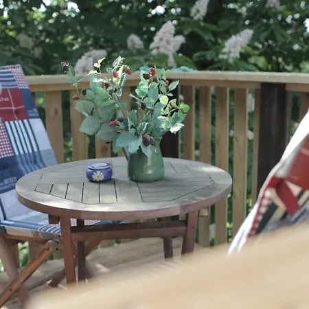 Ostseeurlaub Mit Parkblick Und Sauna